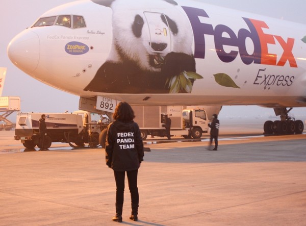 FedEx Panda