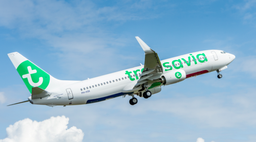 Transavia-vlucht wijkt uit naar na birdstrike | Luchtvaartnieuws
