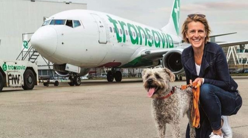 Foto (c) Transavia Dierendag bij Transavia