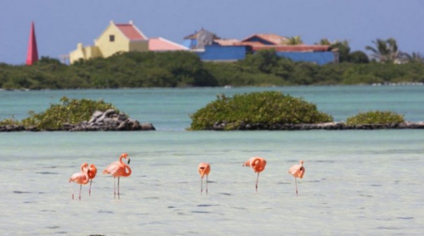 Bonaire vakantie; bezienswaardigheden, activiteiten & stranden - Reisliefde