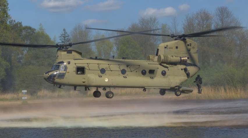 Chinook