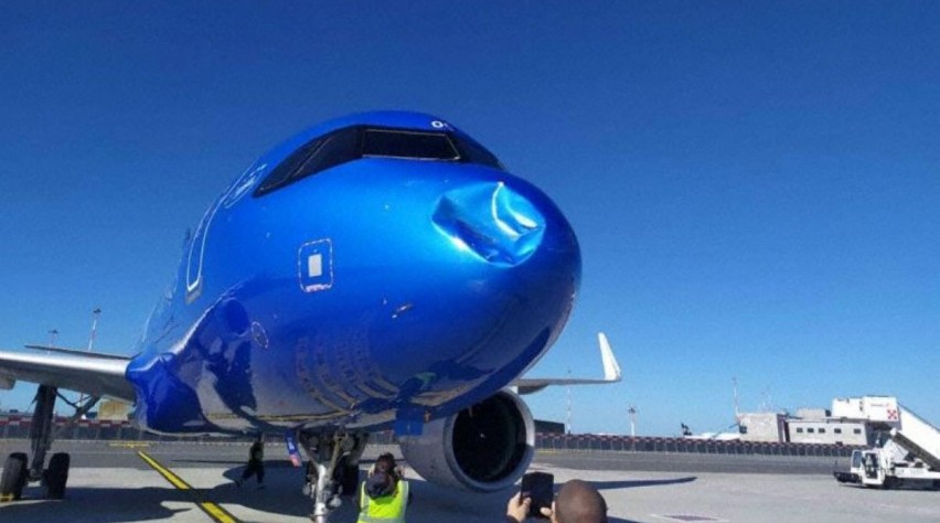 ITA Birdstrike