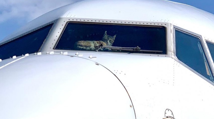 Foto (c) Itay Blumental/Twitter Kat Cockpit