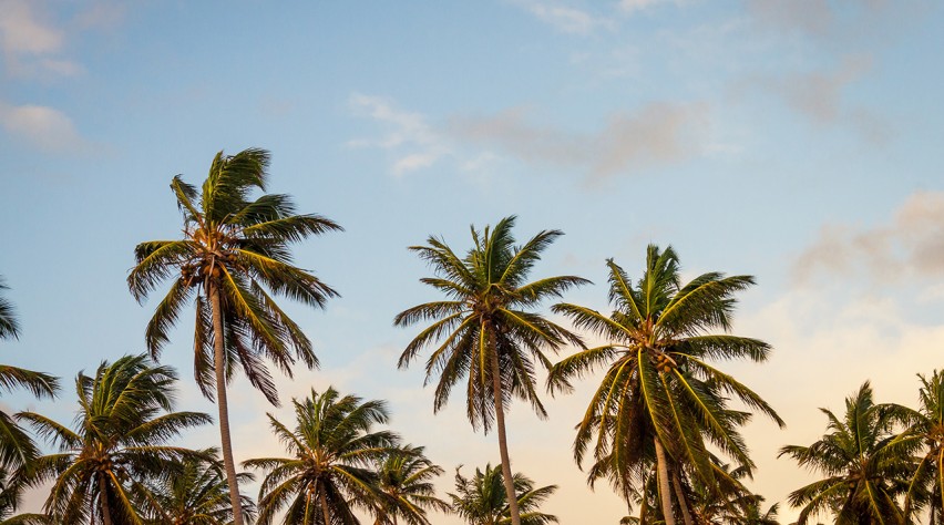 Foto (c) Unsplash