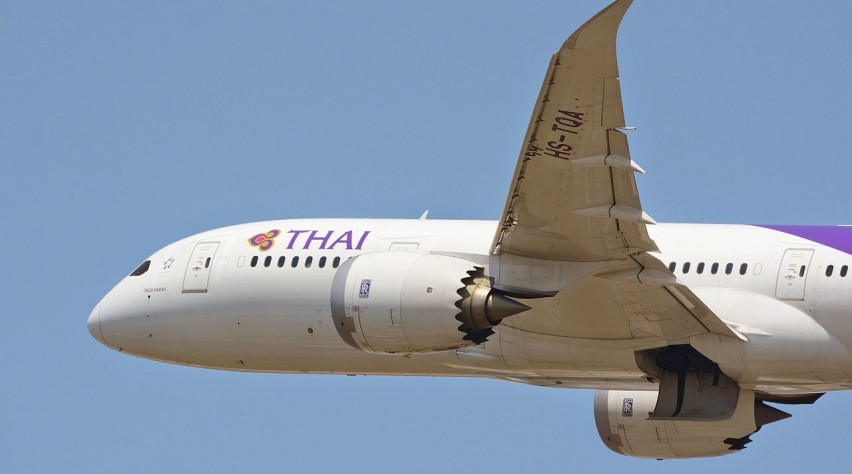 Foto (c) Masakatsu Ukon Thai 787-8