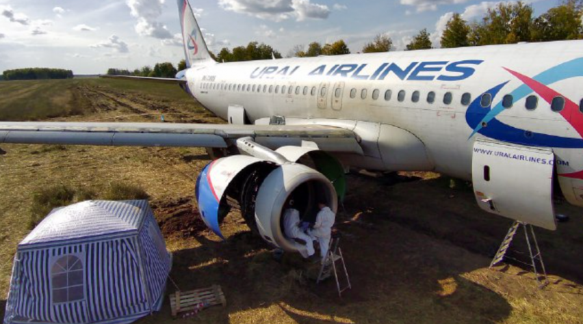 Foto (c) Ural Airlines Ural Airlines A320