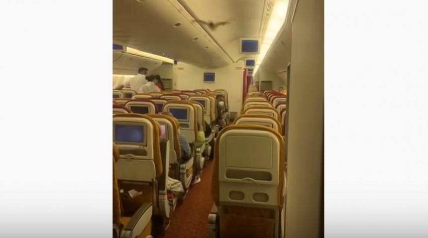 Vleermuis Air India