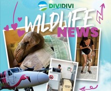 Foto (c) Divi Divi Air