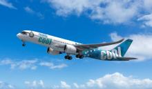 Really Cool Airlines