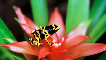 Foto (c) Unsplash