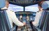Flight simulator