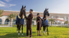 Foto (c) Etihad Airways