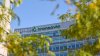Foto (c) Transavia