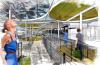 Overkapping Eindhoven Airport