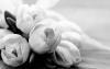 Bloemen