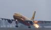 DHL A300 Schiphol Birdstrike