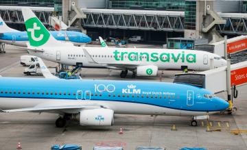 KLM Transavia Schiphol