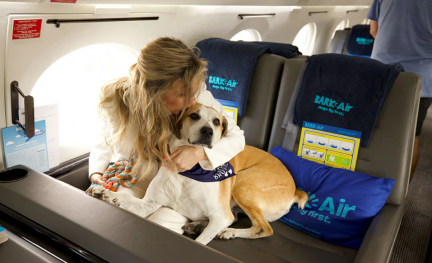 Foto (c) Bark Air Bark Air