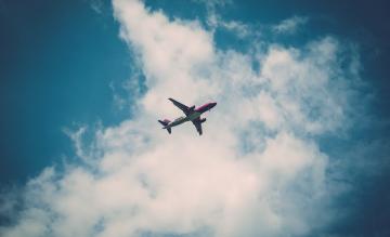 Foto (c) Pexels