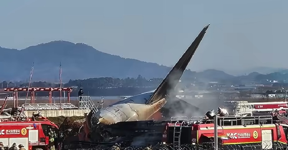 Vogelveren aangetroffen in motoren toestel Jeju Air na vliegramp