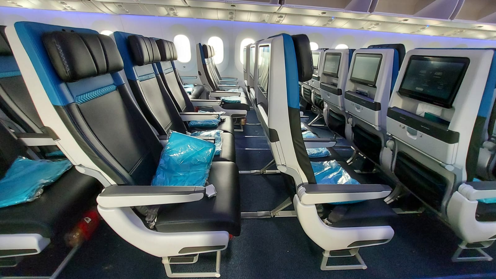 Westjet 787 Economy