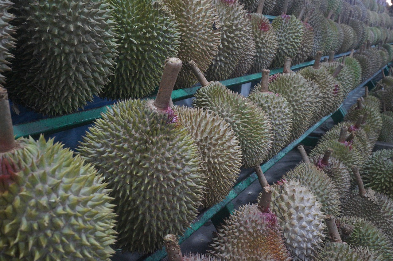 Durian Doerian