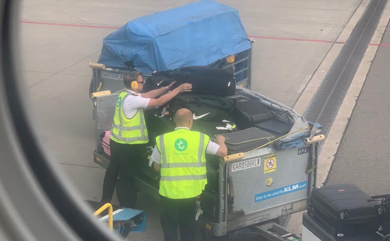 Eekhoorn zoogdier verlies uzelf In beeld: Transavia-piloten helpen bij afhandeling bagage | Luchtvaartnieuws Eekhoorn zoogdier verlies uzelf In beeld: Transavia-piloten helpen bij afhandeling bagage | Luchtvaartnieuws